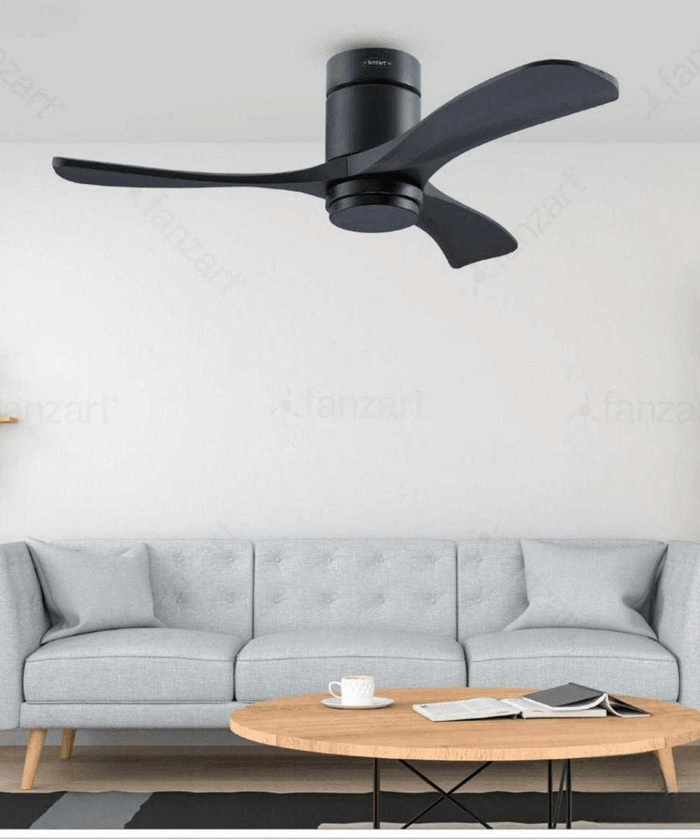 Decorative Fans image