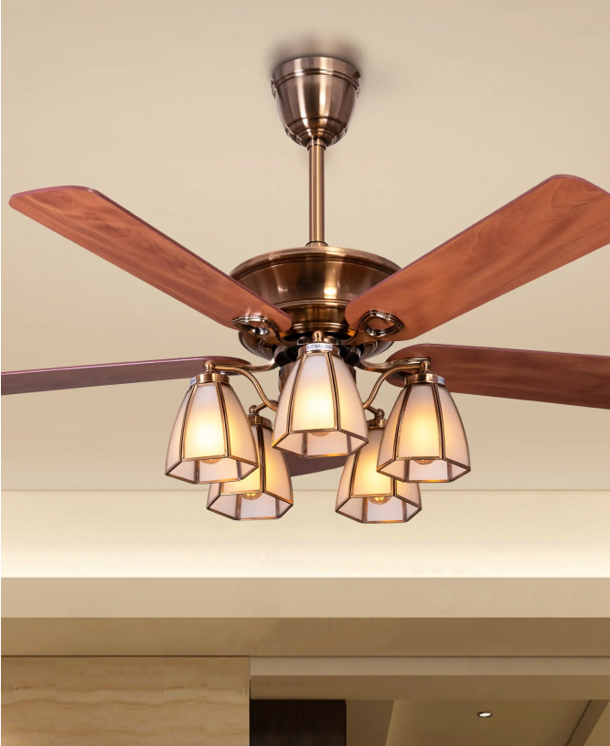 Decorative Fans image